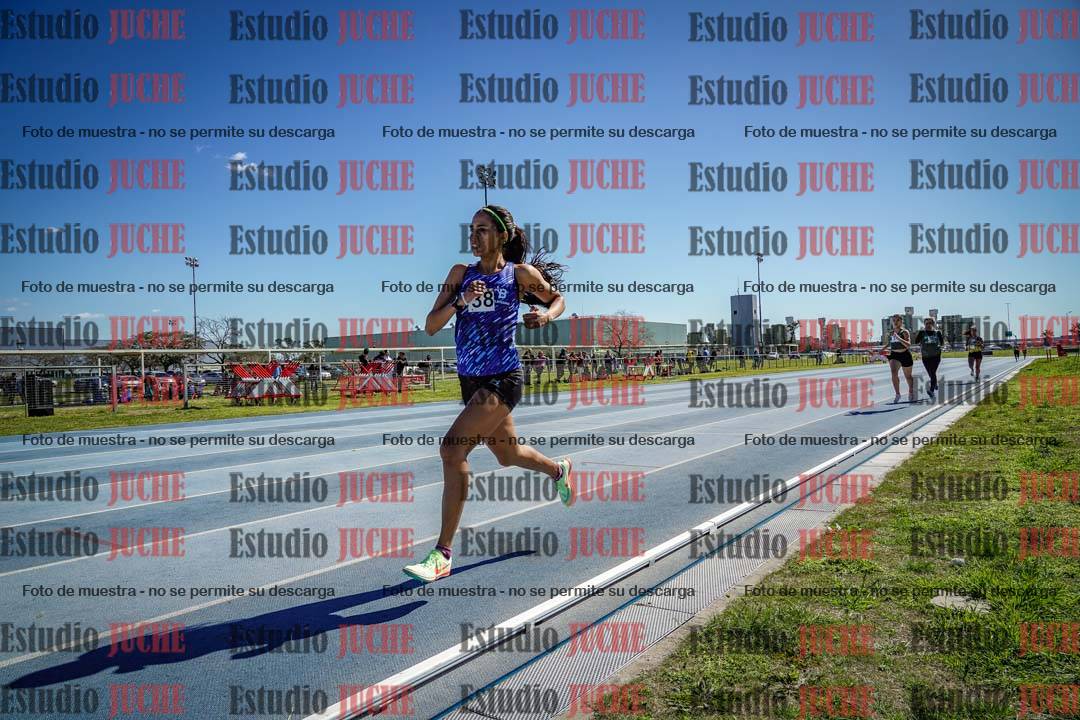 Fotos de los 800 m llanos de mujeres
