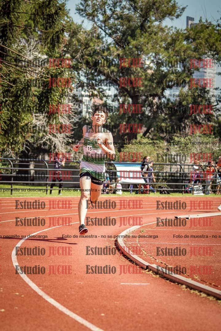 Fotos de los 800 m llanos de varones
