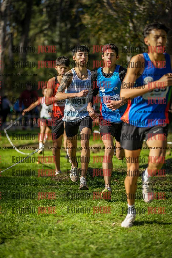 Fotos en el cuarto punto del circuito