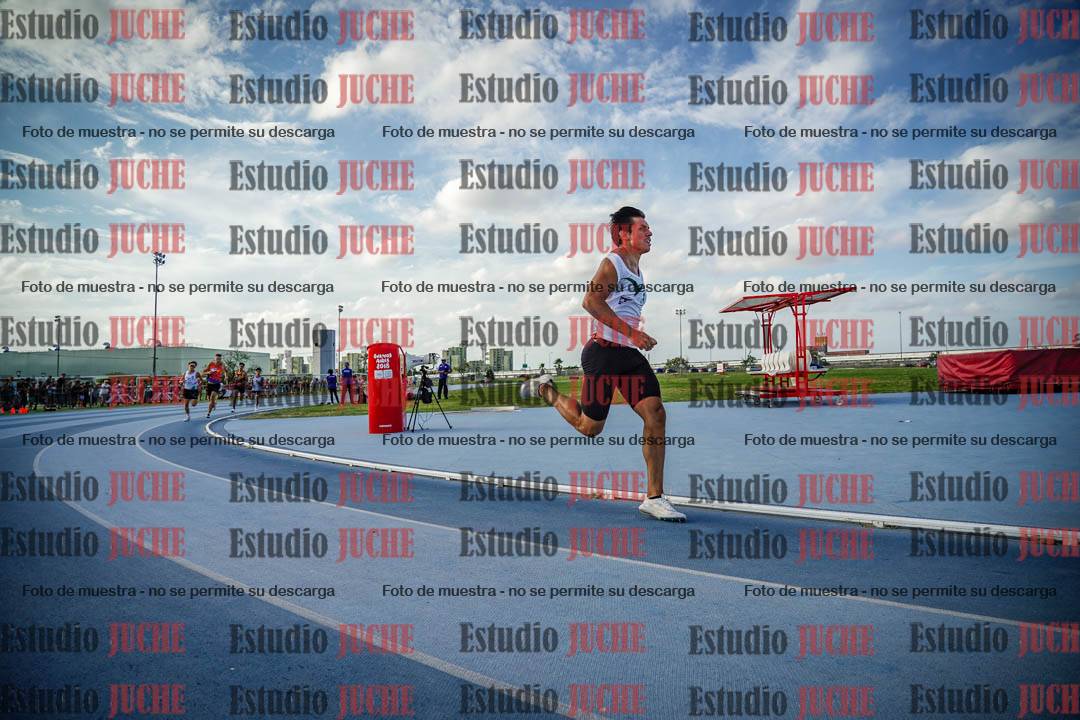 Fotos de los 800 m llanos de varones