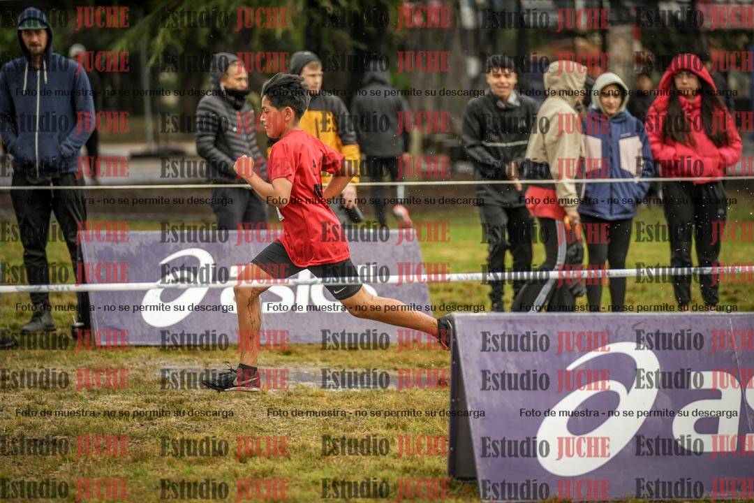 Fotos en el circuito