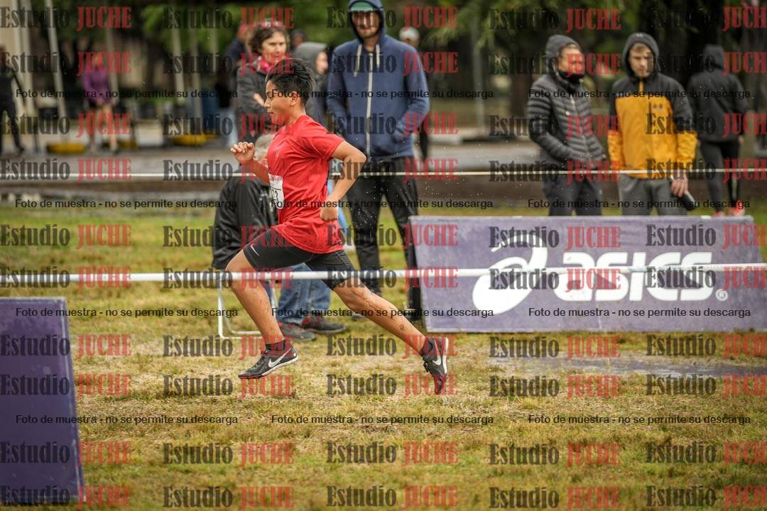 Fotos en el circuito