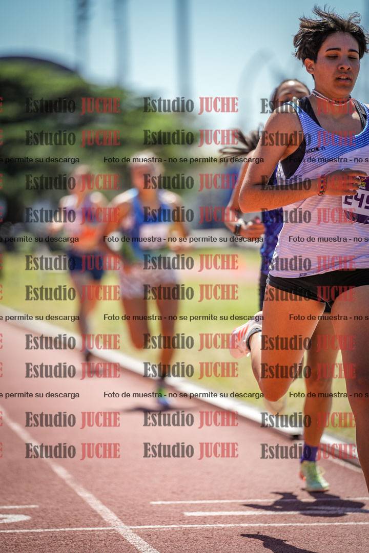 Fotos de los 800 m llanos de mujeres