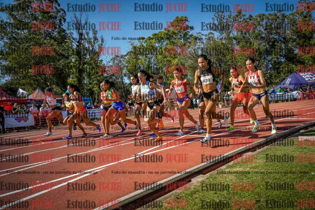 Fotos de los 1500 m llanos de mujeres