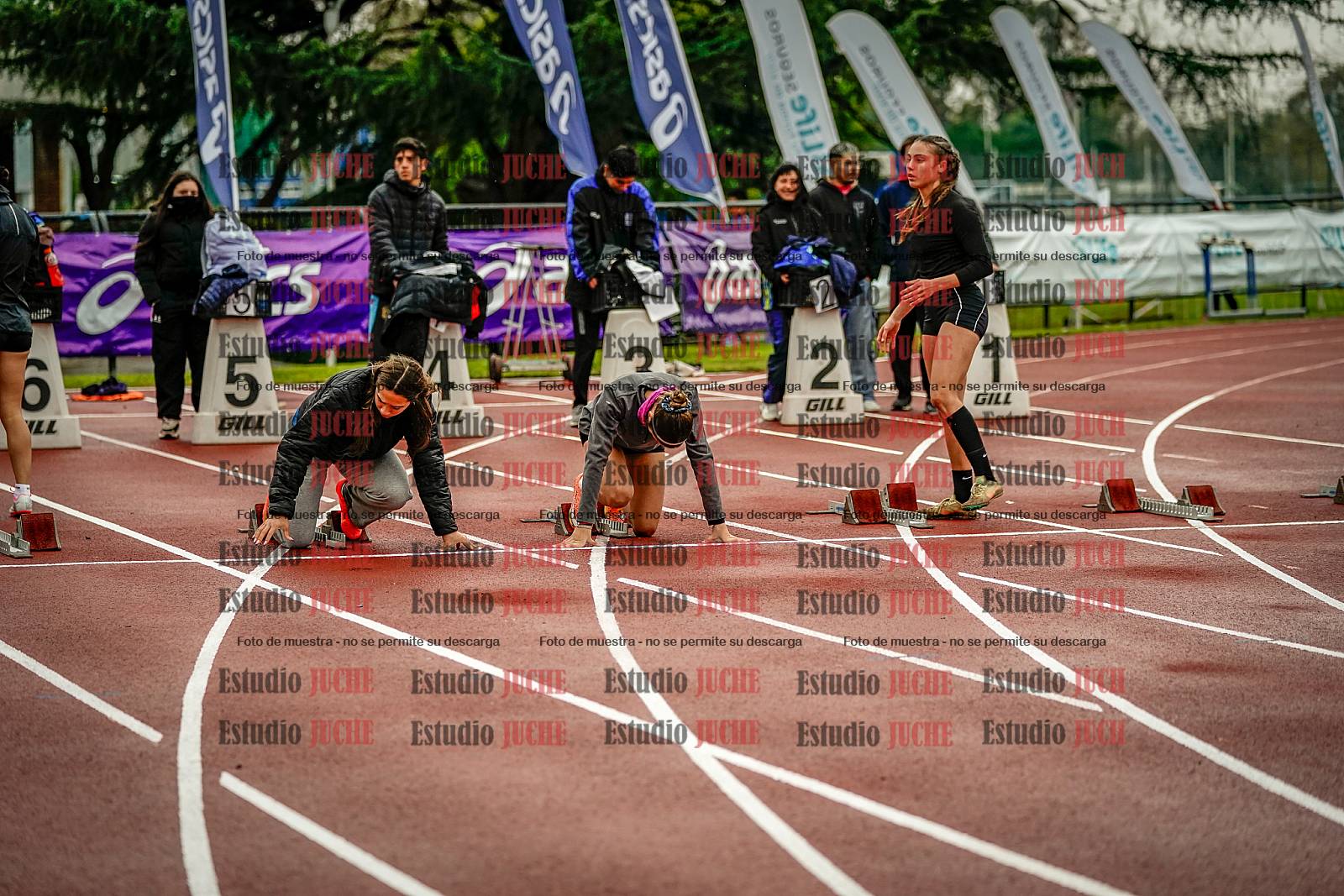 Fotos de los 100 m llanos de mujeres