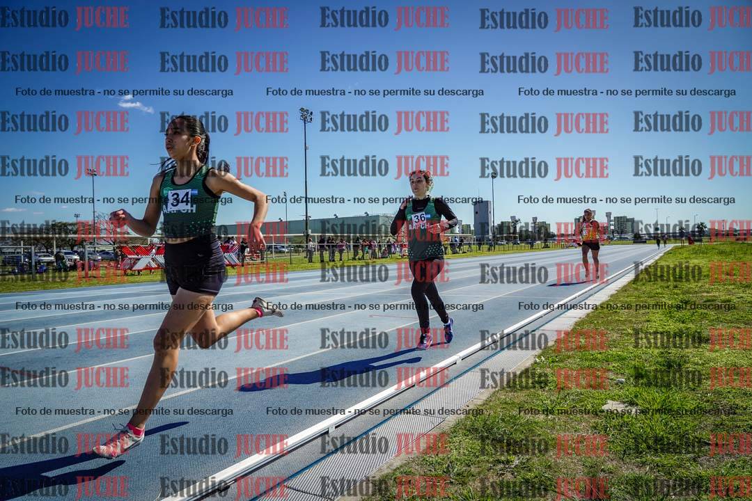 Fotos de los 800 m llanos de mujeres