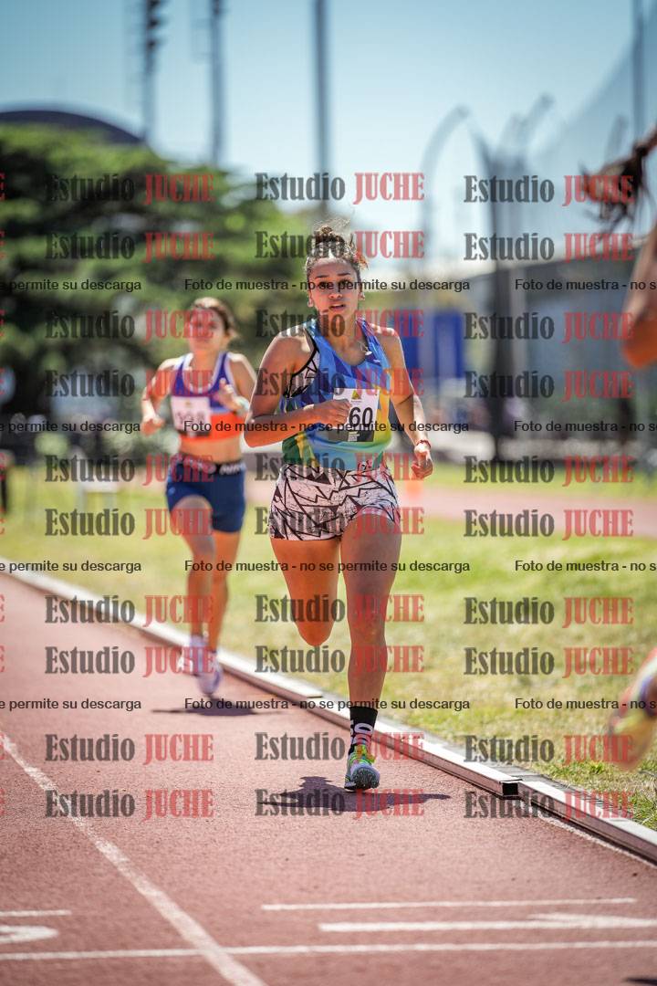 Fotos de los 800 m llanos de mujeres