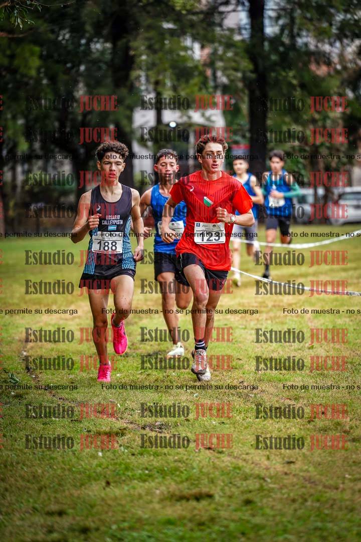 Fotos en el circuito