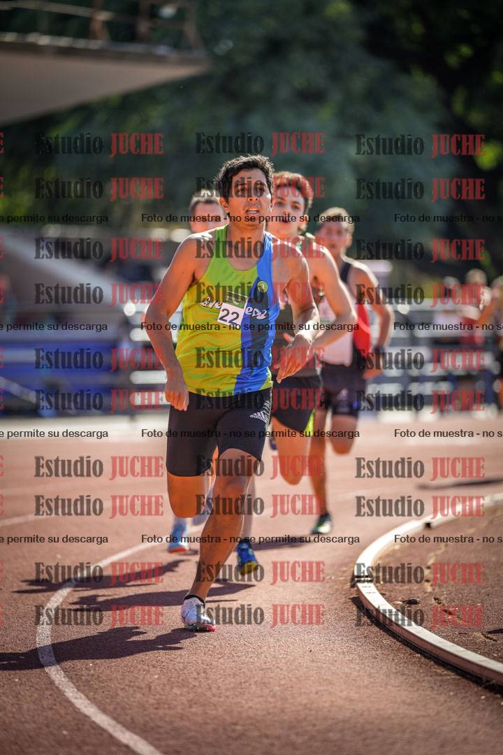 Fotos de los 800 m llanos de varones