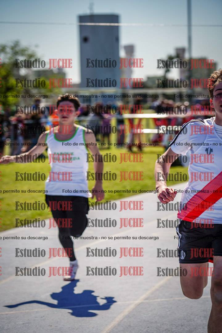 Fotos de los 80 m llanos de varones - FINAL