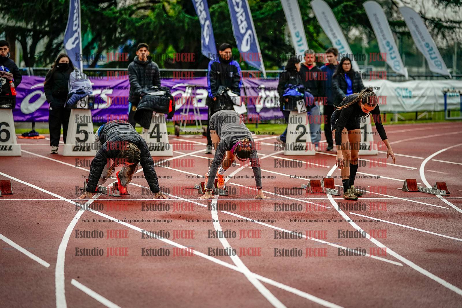 Fotos de los 100 m llanos de mujeres