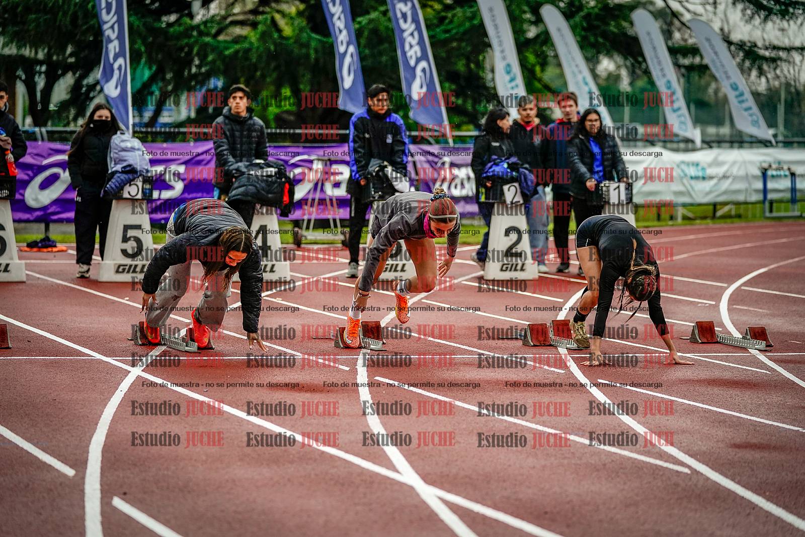Fotos de los 100 m llanos de mujeres