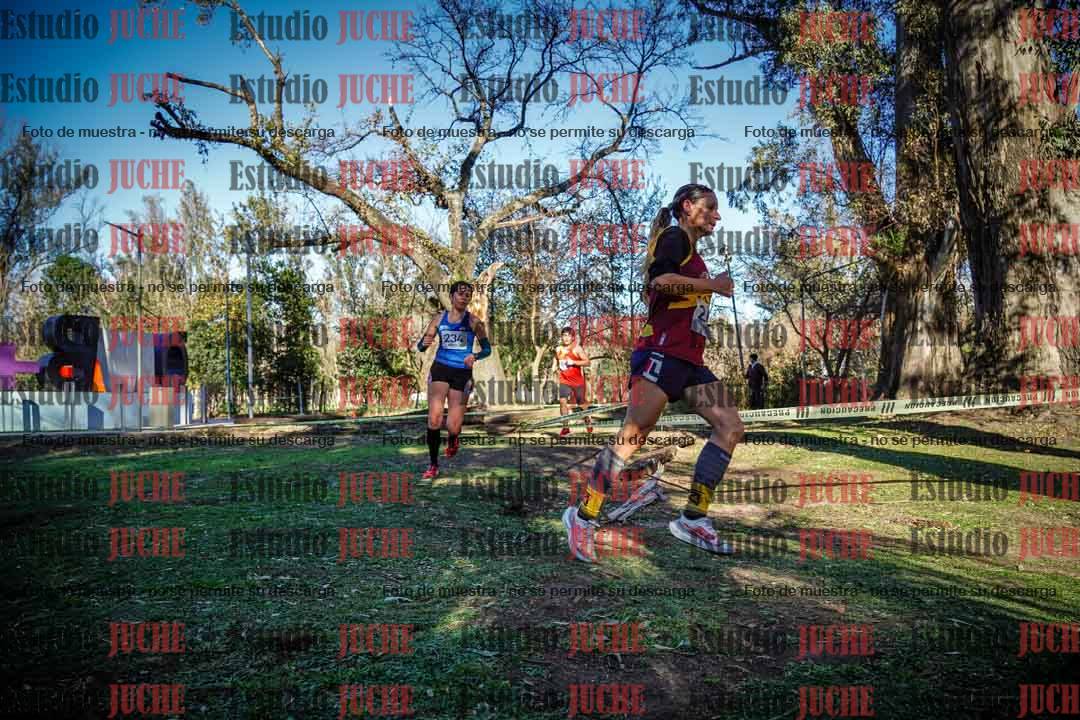 Fotos en el quinto punto del circuito
