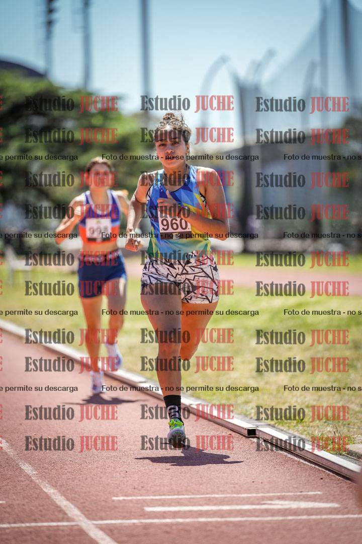 Fotos de los 800 m llanos de mujeres