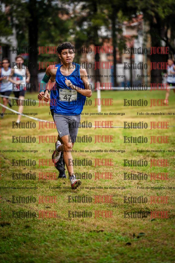 Fotos en el circuito