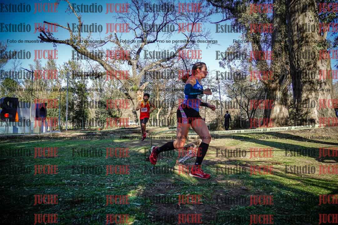 Fotos en el quinto punto del circuito