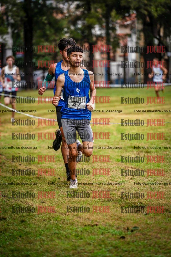 Fotos en el circuito