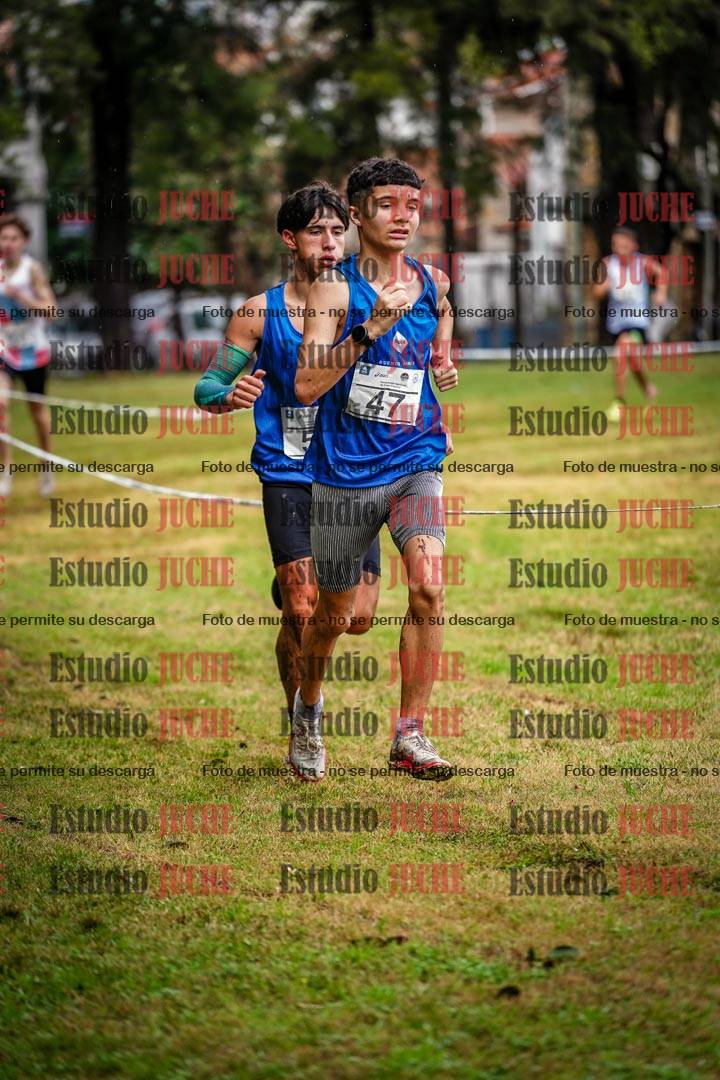 Fotos en el circuito