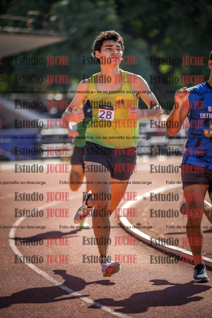 Fotos de los 800 m llanos de varones