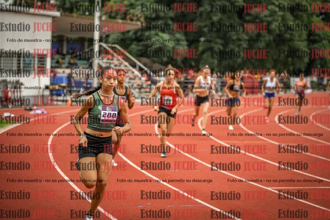 Fotos de los 800 m llanos de mujeres