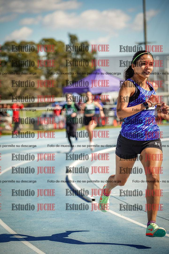 Fotos de los 800 m llanos de mujeres