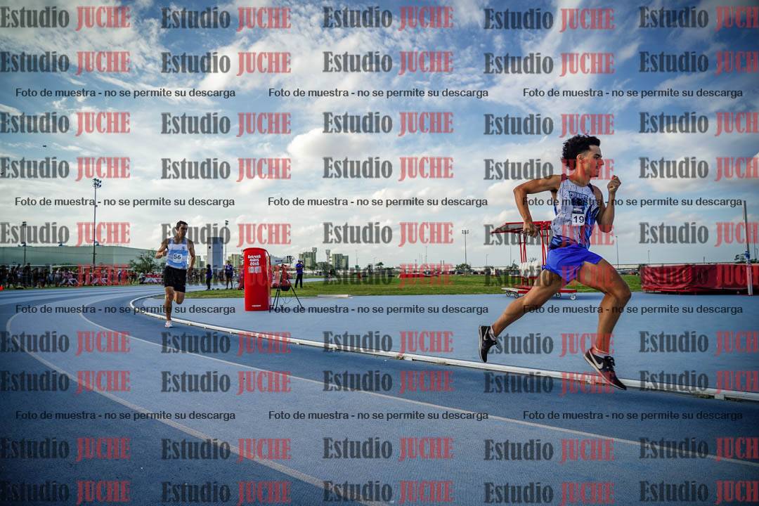 Fotos de los 800 m llanos de varones