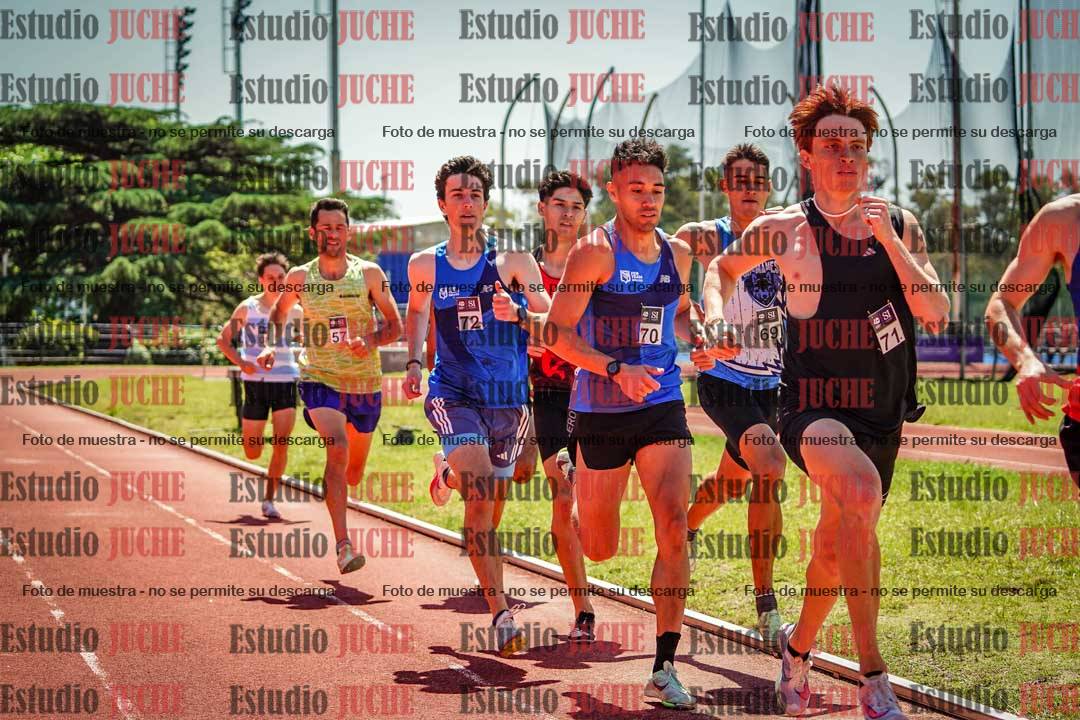 Fotos de los 800 m llanos de varones