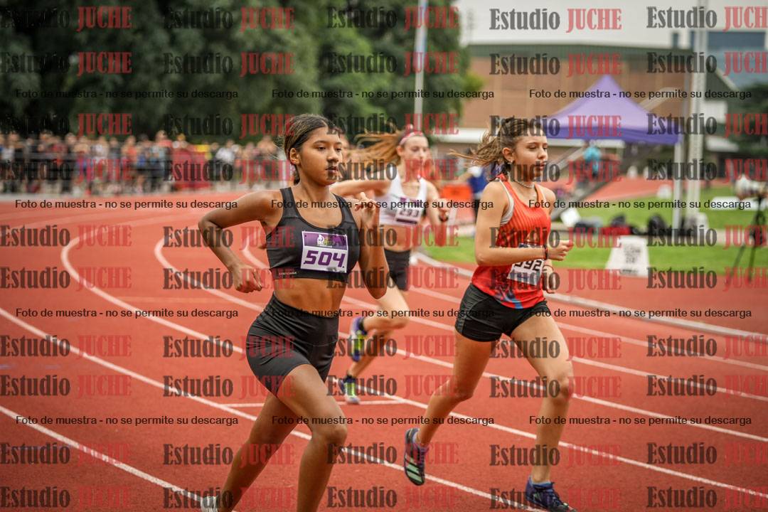 Fotos de los 800 m llanos de mujeres