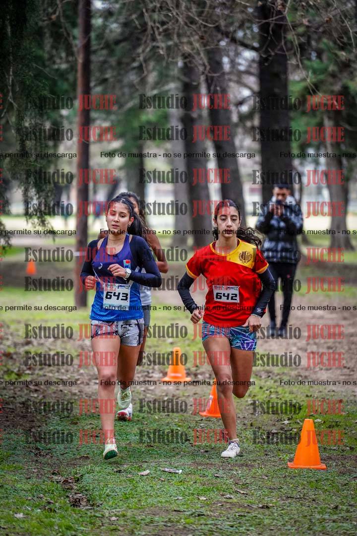 Fotos en el circuito