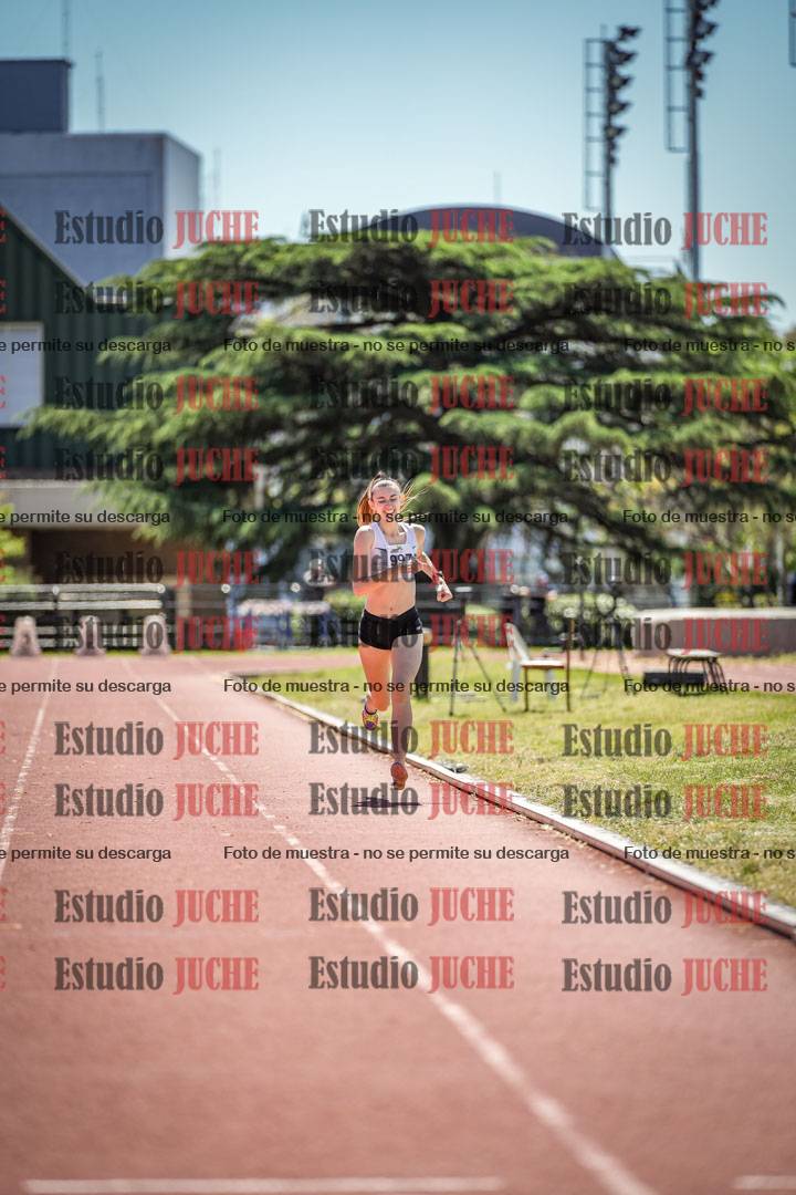 Fotos de los 800 m llanos de mujeres
