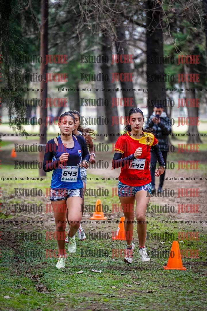 Fotos en el circuito