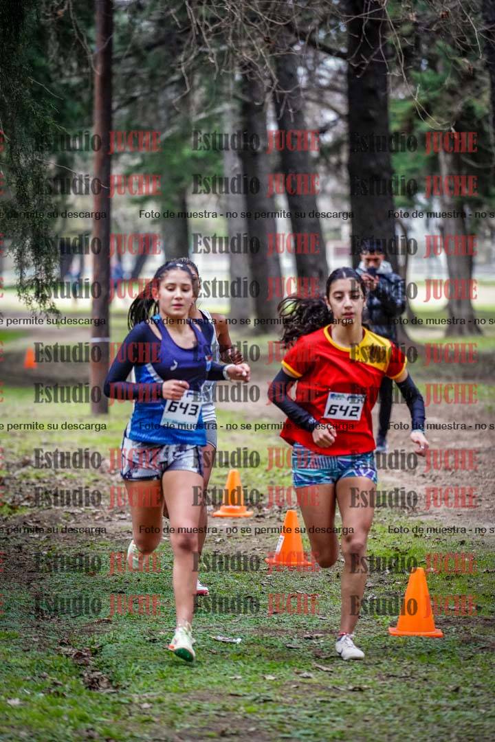 Fotos en el circuito