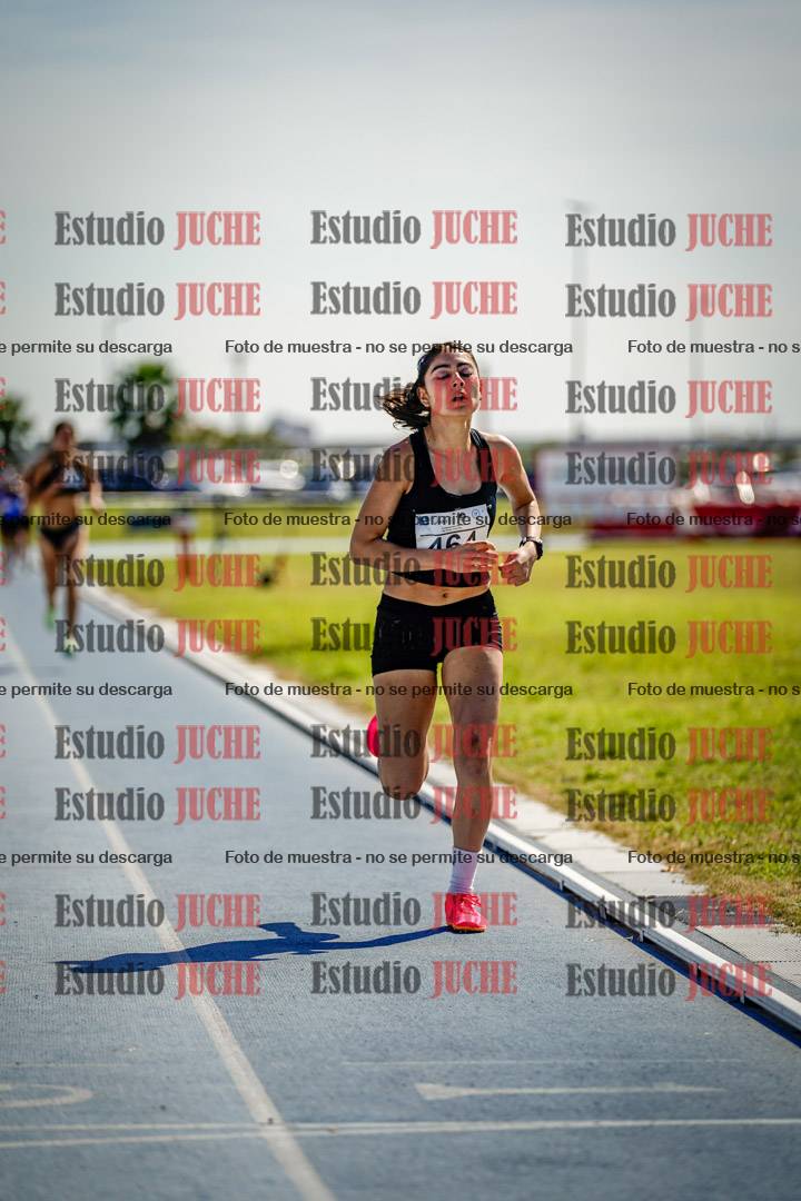 Fotos de los 800 m llanos de mujeres