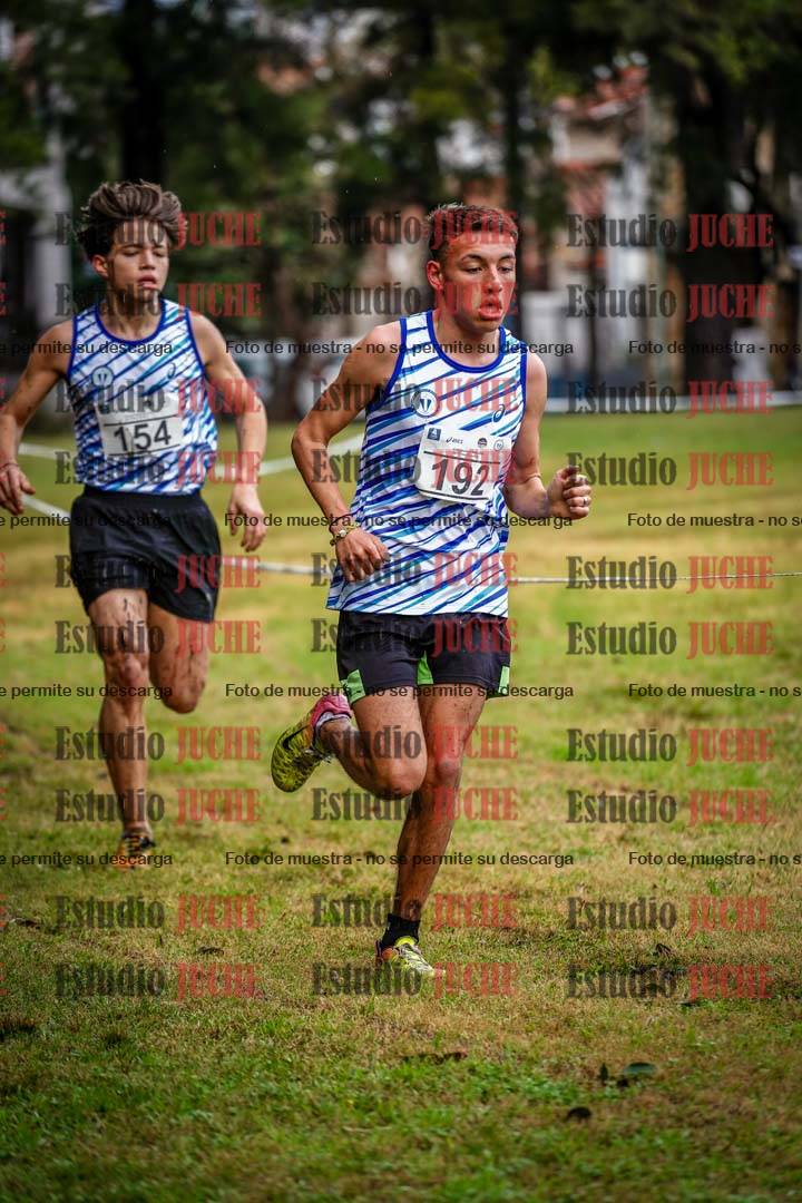 Fotos en el circuito