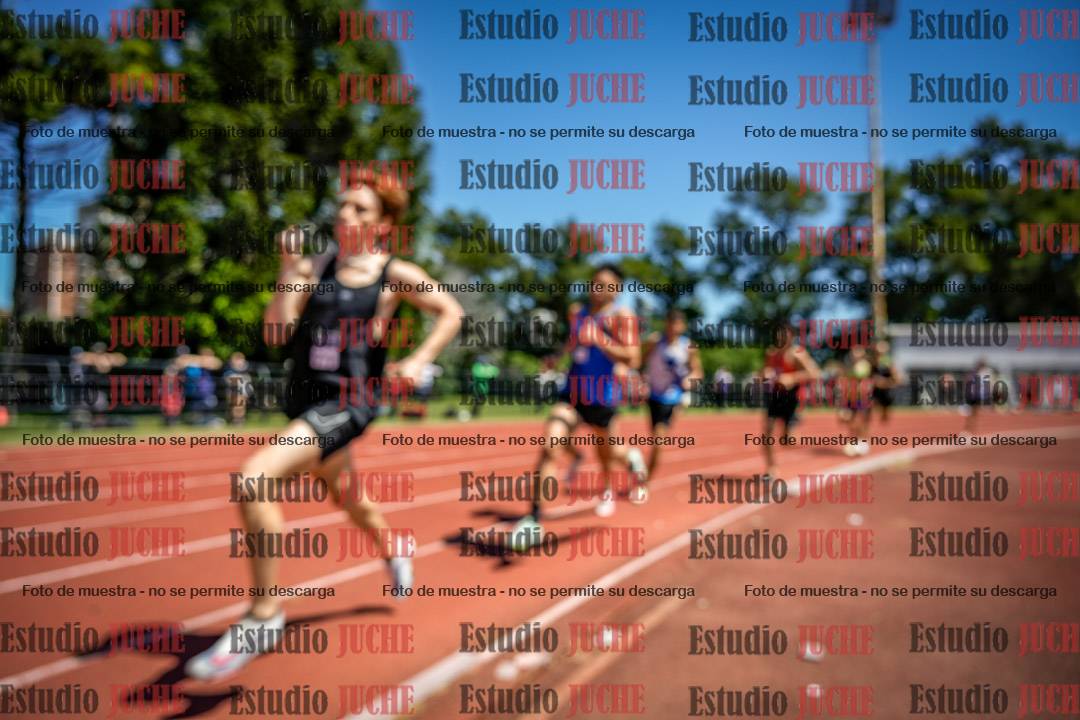 Fotos de los 800 m llanos de varones
