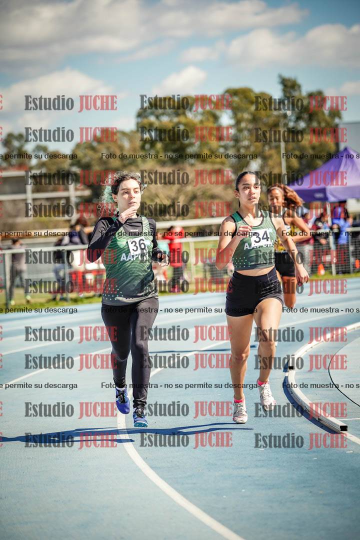 Fotos de los 800 m llanos de mujeres