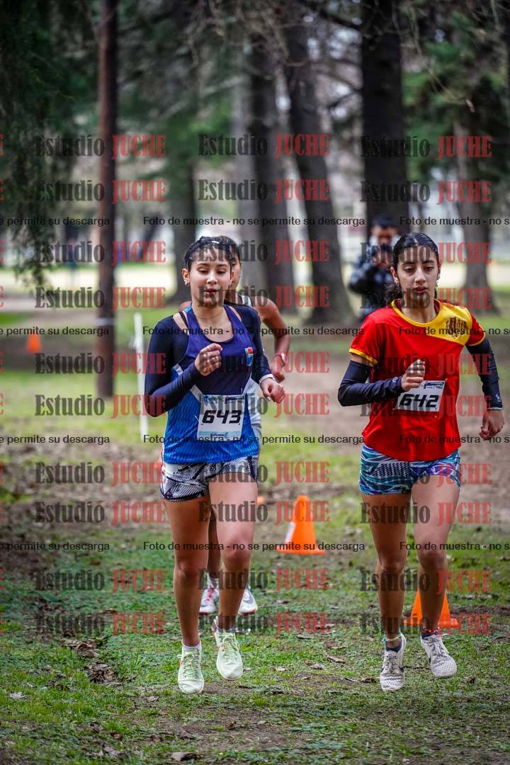 Fotos en el circuito