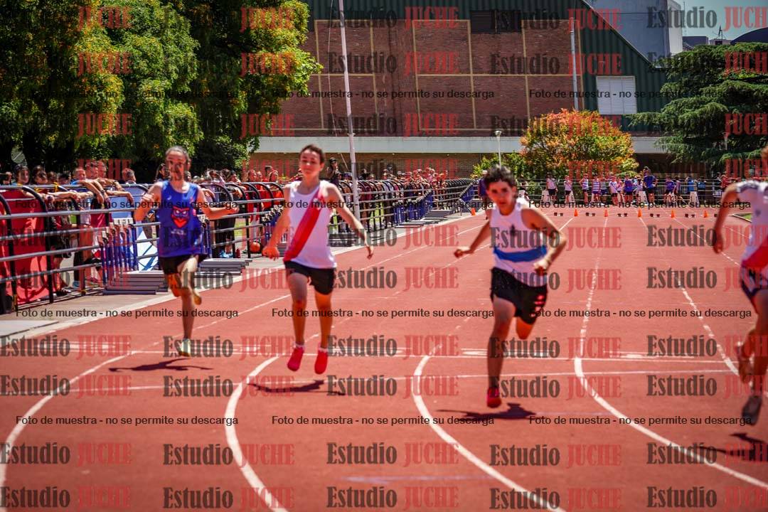 Fotos de los 80 m llanos de varones