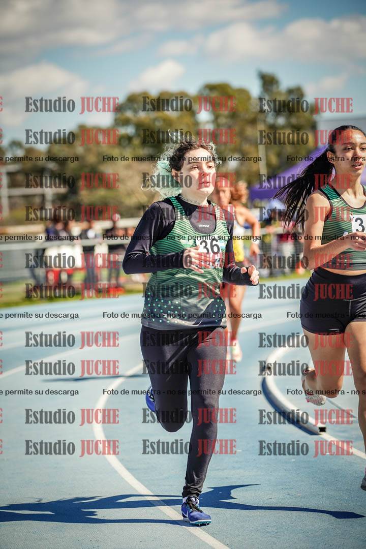Fotos de los 800 m llanos de mujeres