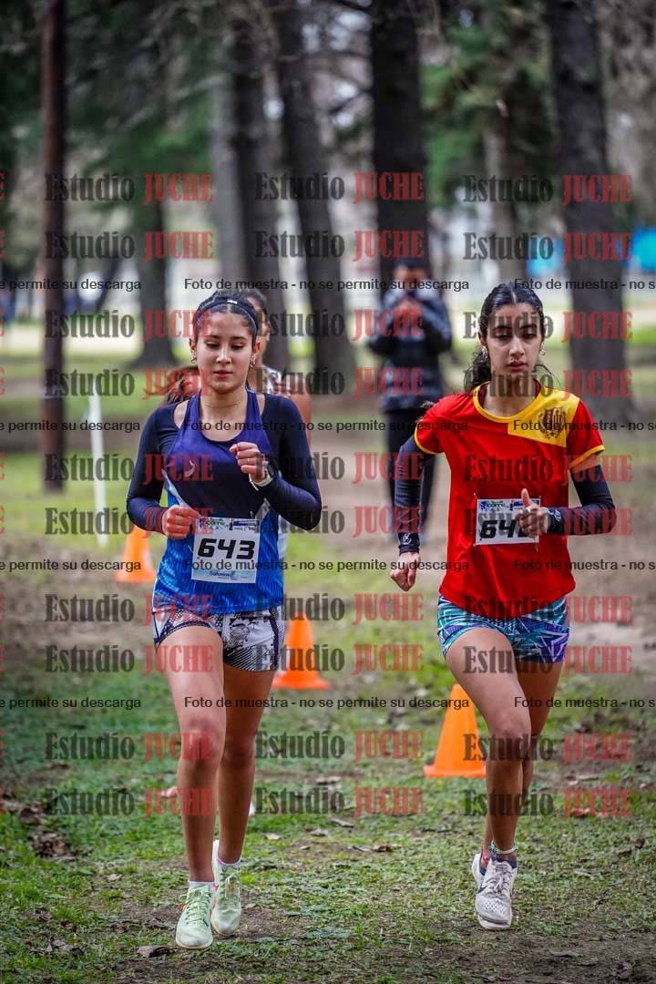Fotos en el circuito