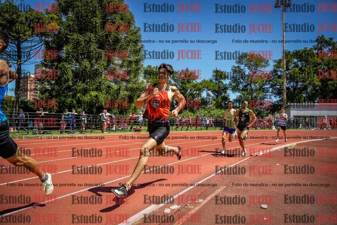 Fotos de los 800 m llanos de varones