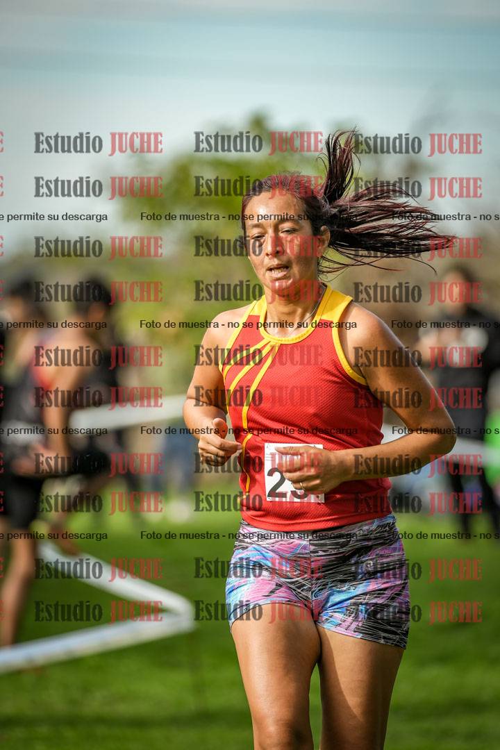 Fotos en el circuito