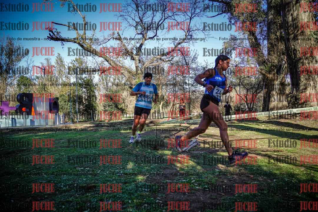 Fotos en el quinto punto del circuito
