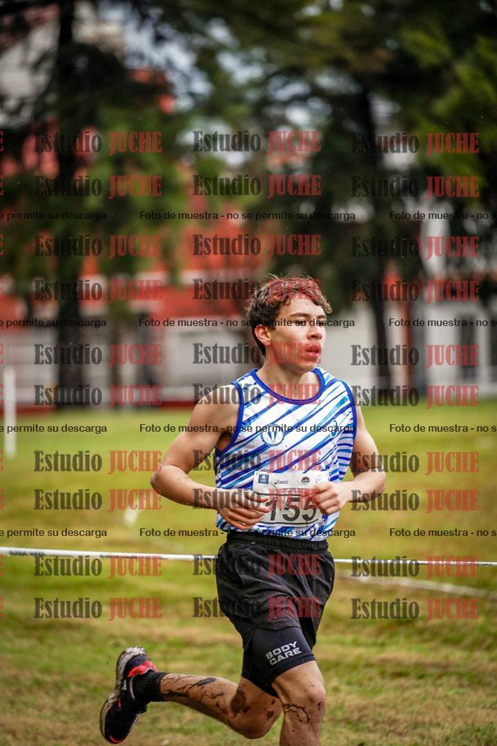 Fotos en el circuito