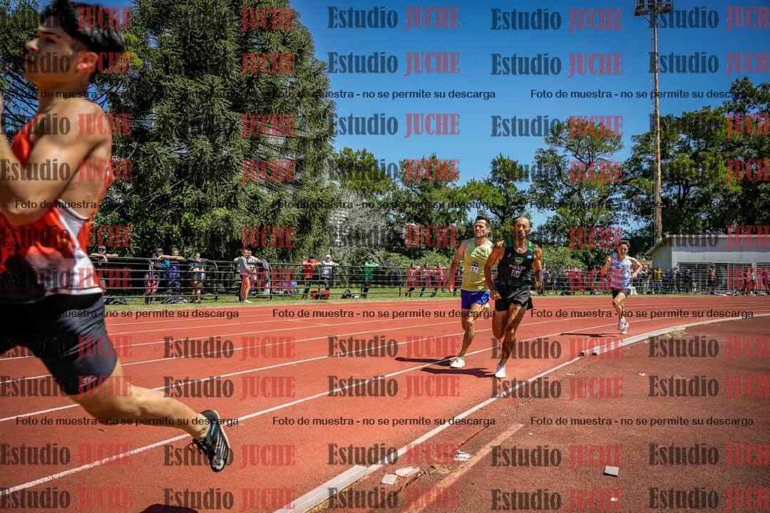 Fotos de los 800 m llanos de varones