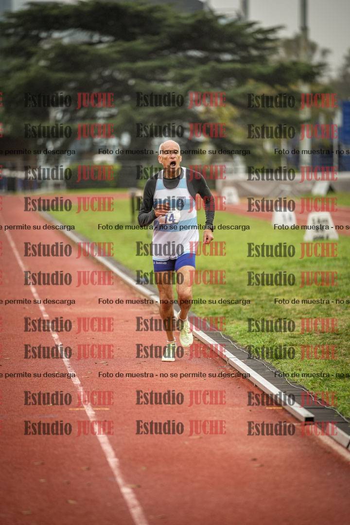 Fotos de los 800 m llanos de varones