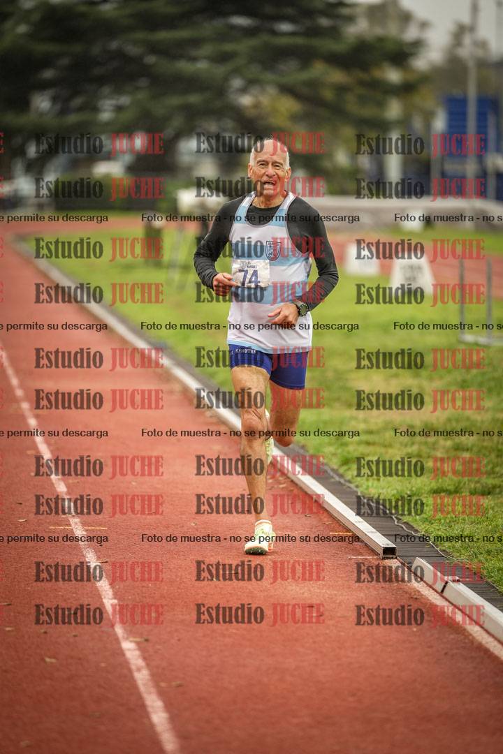 Fotos de los 800 m llanos de varones