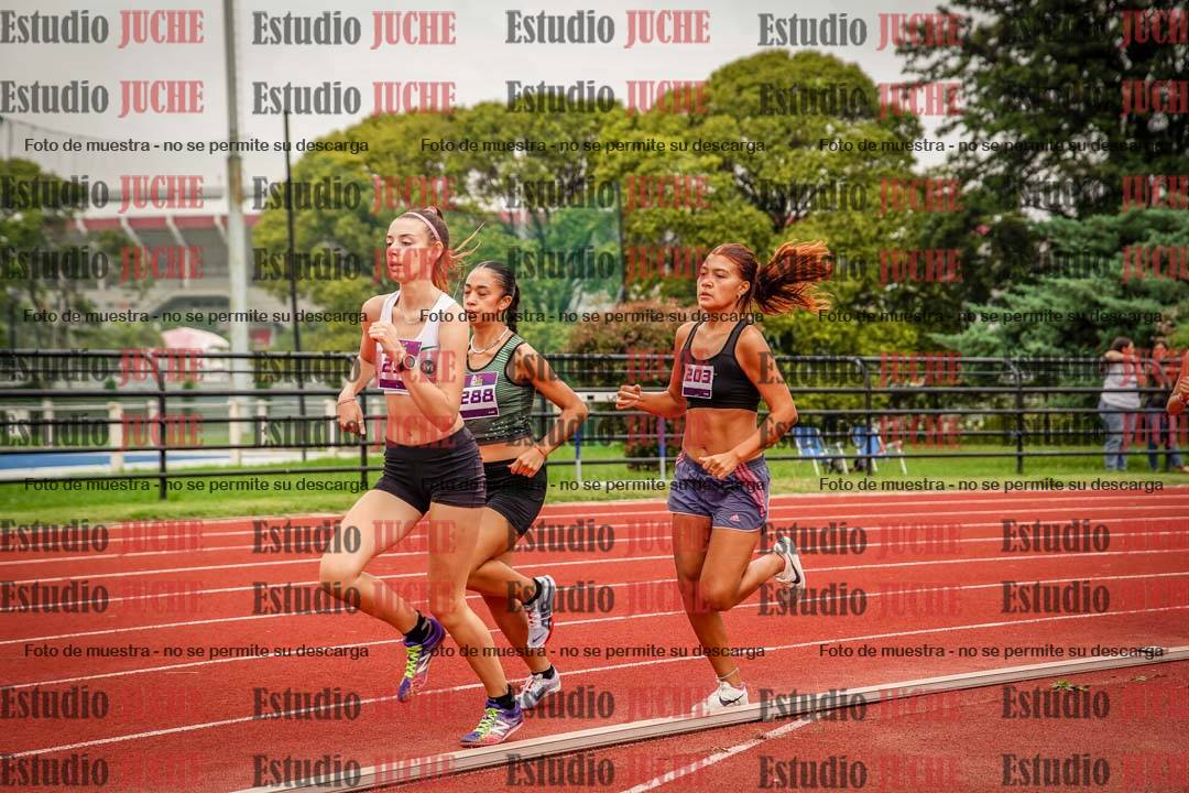 Fotos de los 800 m llanos de mujeres