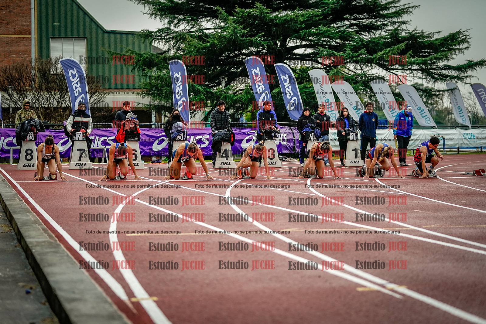 Fotos de los 100 m llanos de mujeres
