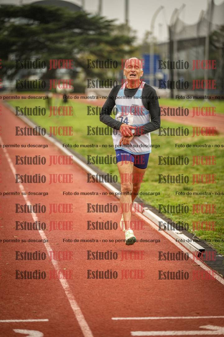 Fotos de los 800 m llanos de varones